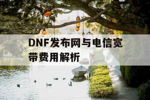 DNF发布网与电信宽带费用解析