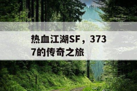 热血江湖SF，3737的传奇之旅