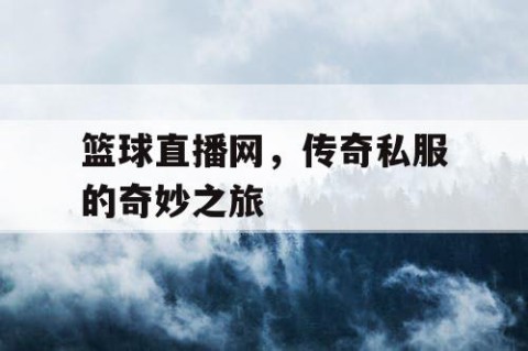 篮球直播网，传奇私服的奇妙之旅