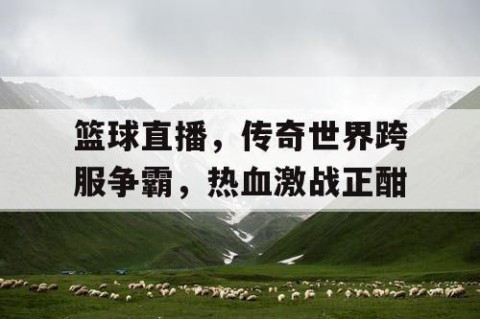 篮球直播，传奇世界跨服争霸，热血激战正酣