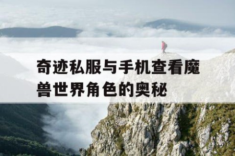 奇迹私服与手机查看魔兽世界角色的奥秘