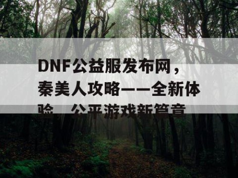 DNF公益服发布网，秦美人攻略——全新体验，公平游戏新篇章