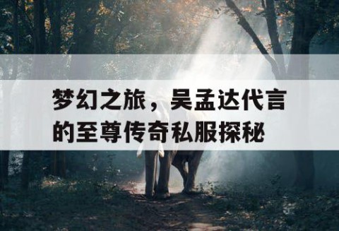 梦幻之旅，吴孟达代言的至尊传奇私服探秘