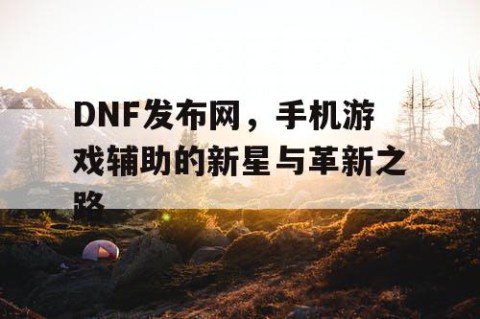 DNF发布网，手机游戏辅助的新星与革新之路