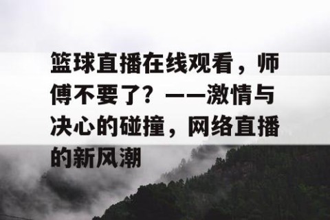 篮球直播在线观看，师傅不要了？——激情与决心的碰撞，网络直播的新风潮