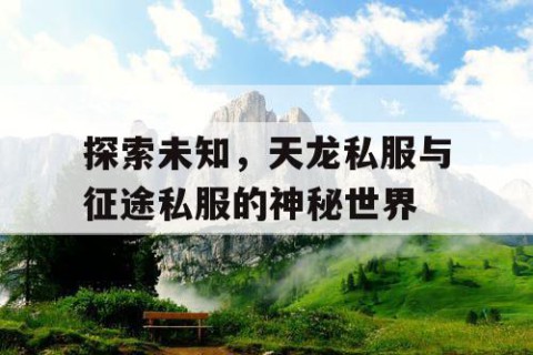 探索未知，天龙私服与征途私服的神秘世界