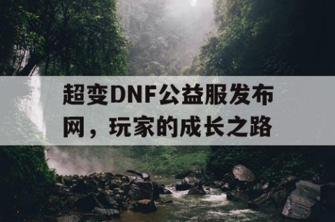 超变DNF公益服发布网，玩家的成长之路