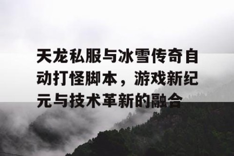 天龙私服与冰雪传奇自动打怪脚本，游戏新纪元与技术革新的融合