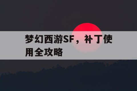 梦幻西游SF，补丁使用全攻略