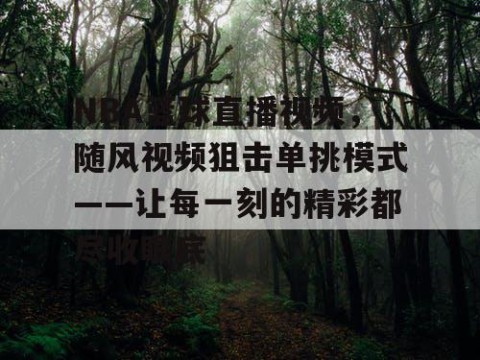 NBA篮球直播视频,随风视频狙击单挑模式——让每一刻的精彩都尽收眼底