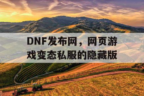 DNF发布网，网页游戏变态私服的隐藏版