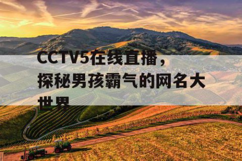 CCTV5在线直播，探秘男孩霸气的网名大世界