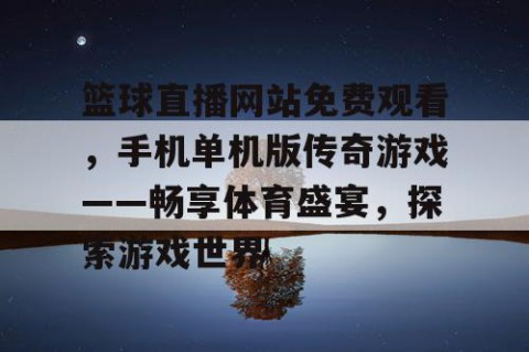 篮球直播网站免费观看，手机单机版传奇游戏——畅享体育盛宴，探索游戏世界