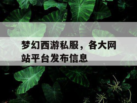梦幻西游私服，各大网站平台发布信息