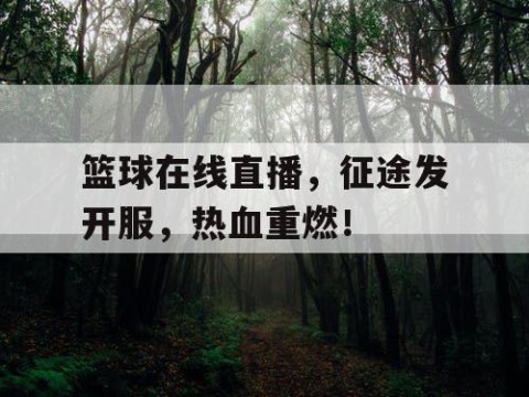 篮球在线直播，征途发开服，热血重燃！