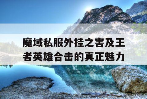 魔域私服外挂之害及王者英雄合击的真正魅力