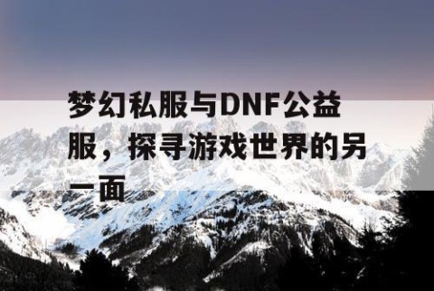 梦幻私服与DNF公益服，探寻游戏世界的另一面