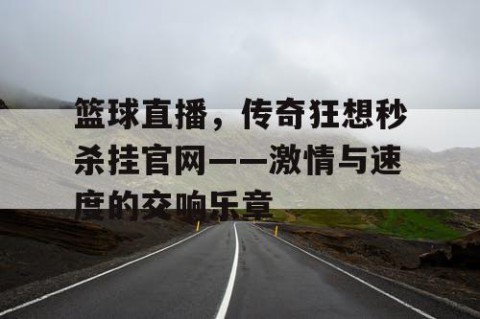 篮球直播，传奇狂想秒杀挂官网——激情与速度的交响乐章