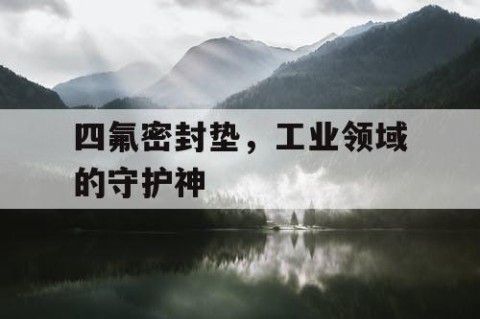 四氟密封垫，工业领域的守护神