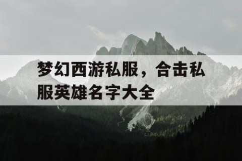 梦幻西游私服，合击私服英雄名字大全
