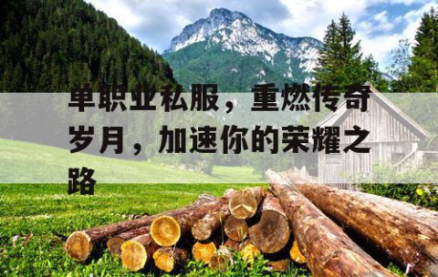 单职业私服，重燃传奇岁月，加速你的荣耀之路