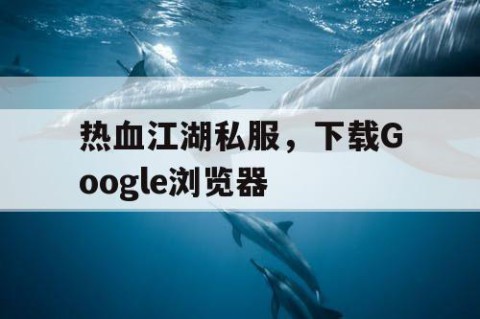 热血江湖私服，下载Google浏览器