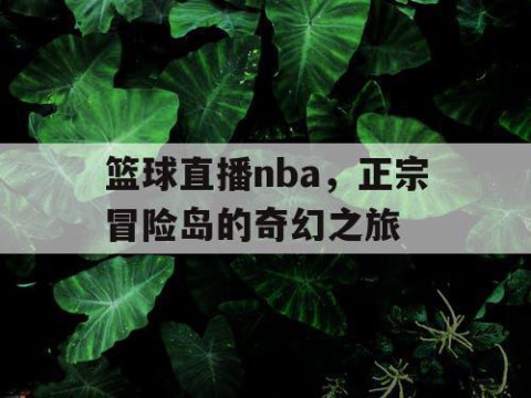 篮球直播nba,正宗冒险岛的奇幻之旅