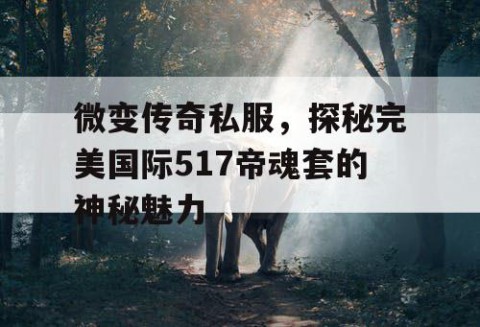 微变传奇私服,探秘完美国际517帝魂套的神秘魅力