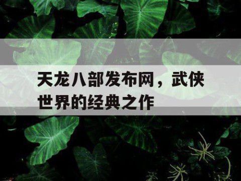 天龙八部发布网，武侠世界的经典之作