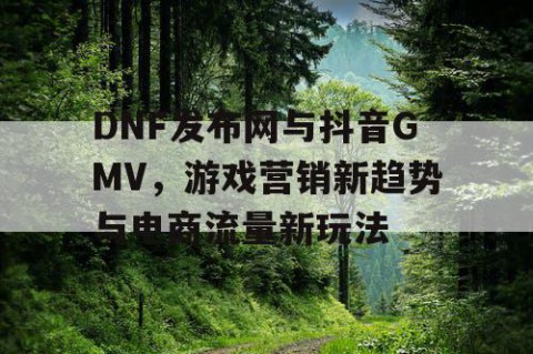 DNF发布网与抖音GMV，游戏营销新趋势与电商流量新玩法