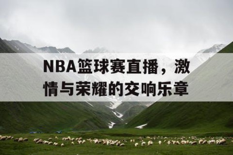 NBA篮球赛直播,激情与荣耀的交响乐章