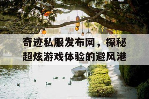 奇迹私服发布网，探秘超炫游戏体验的避风港