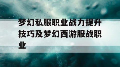 梦幻私服职业战力提升技巧及梦幻西游服战职业