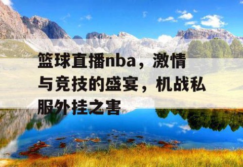 篮球直播nba，激情与竞技的盛宴，机战私服外挂之害