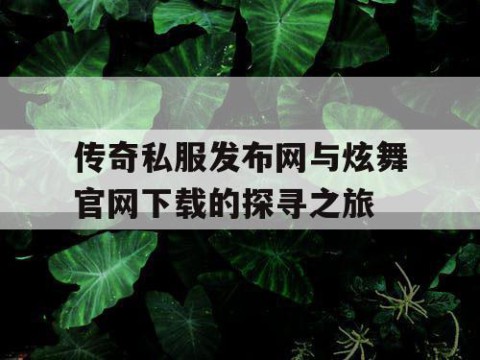 传奇私服发布网与炫舞官网下载的探寻之旅