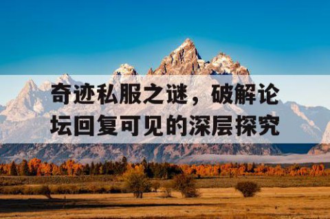 奇迹私服之谜，破解论坛回复可见的深层探究