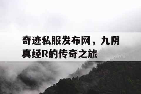 奇迹私服发布网，九阴真经R的传奇之旅