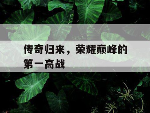 传奇归来，荣耀巅峰的第一高战