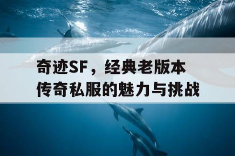 奇迹SF，经典老版本传奇私服的魅力与挑战
