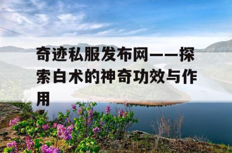 奇迹私服发布网——探索白术的神奇功效与作用