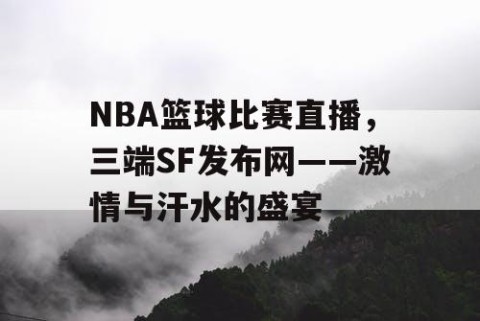 NBA篮球比赛直播,三端SF发布网——激情与汗水的盛宴