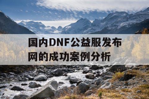 国内DNF公益服发布网的成功案例分析