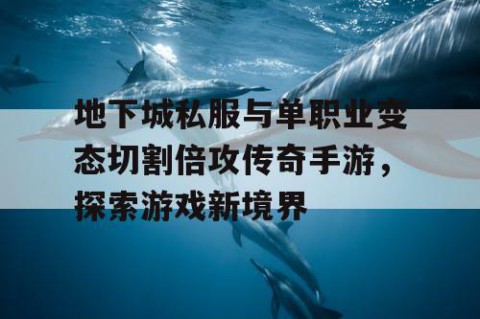 地下城私服与单职业变态切割倍攻传奇手游，探索游戏新境界