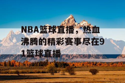 NBA篮球直播，热血沸腾的精彩赛事尽在91篮球直播