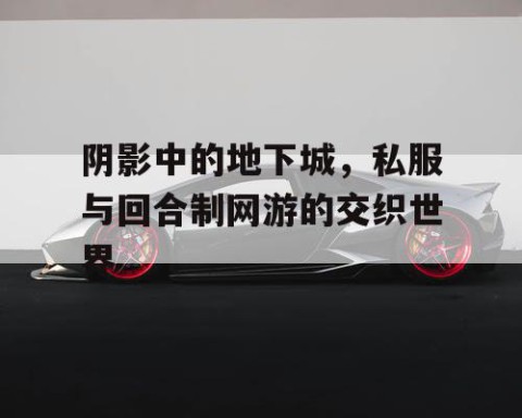 阴影中的地下城，私服与回合制网游的交织世界