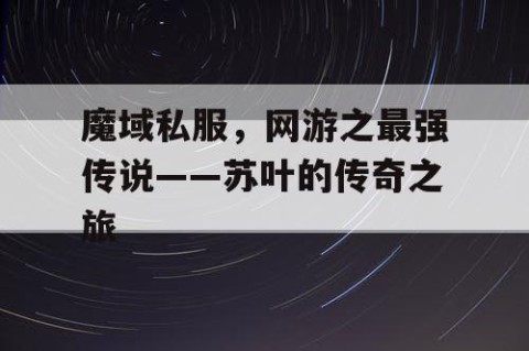 魔域私服，网游之最强传说——苏叶的传奇之旅