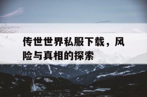 传世世界私服下载，风险与真相的探索