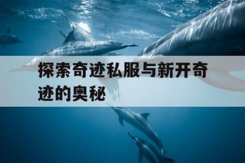 探索奇迹私服与新开奇迹的奥秘