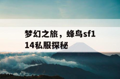 梦幻之旅，蜂鸟sf114私服探秘