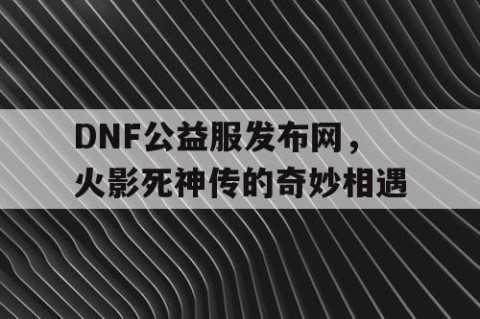 DNF公益服发布网，火影死神传的奇妙相遇